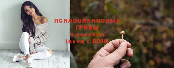 2c-b Липки