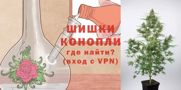 дживик Лихославль