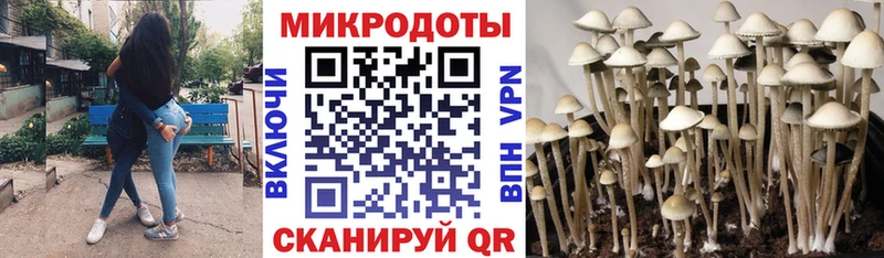 Псилоцибиновые грибы ЛСД Купить закладки Кувшиново